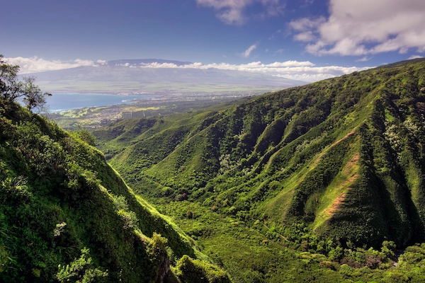 Waiheʻe Ridge Trail