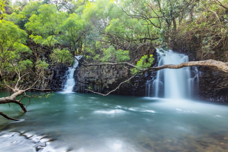 Water Falls in Maui: Twin Falls is among the best waterfalls in Maui.